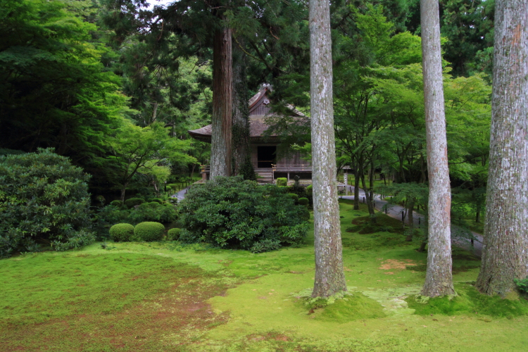 三千院_e0051888_21362113.jpg