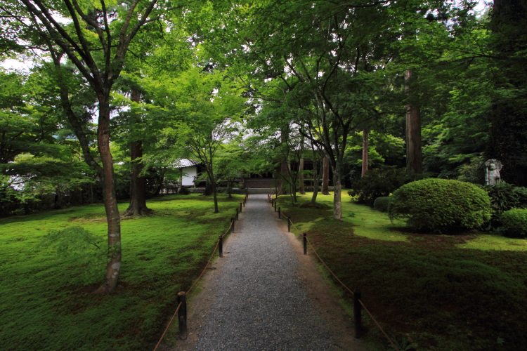 三千院_e0051888_21365813.jpg