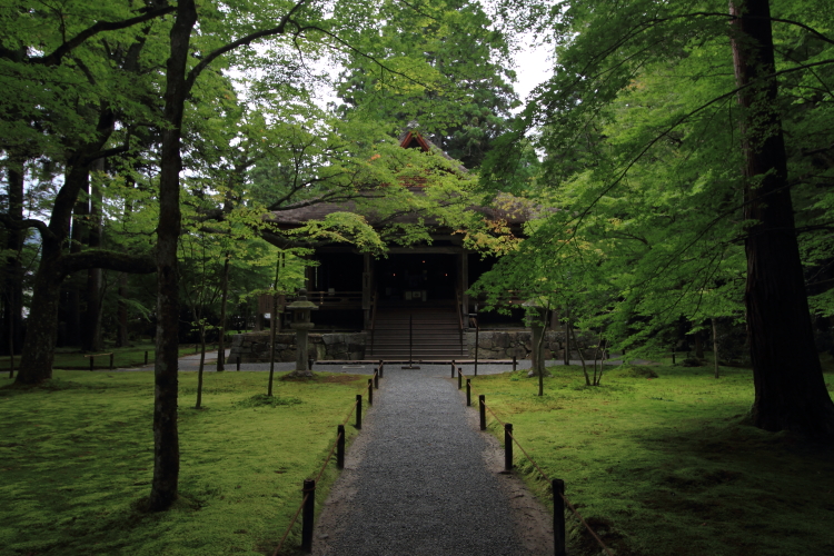 三千院_e0051888_21372161.jpg