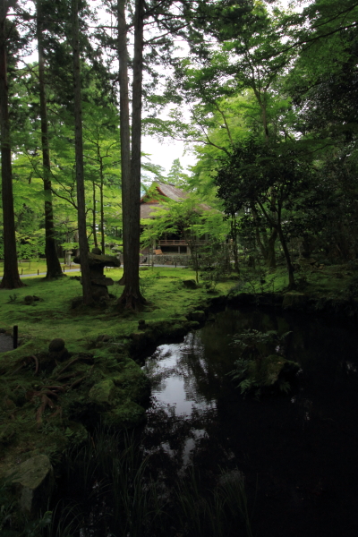 三千院_e0051888_21384514.jpg