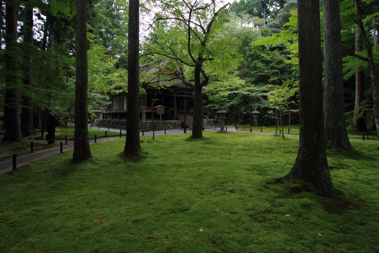 三千院_e0051888_213917.jpg
