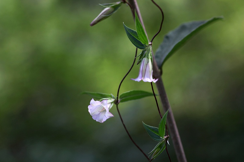 f0000789_2151218.jpg