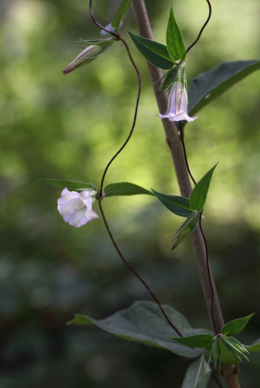 f0000789_21514267.jpg