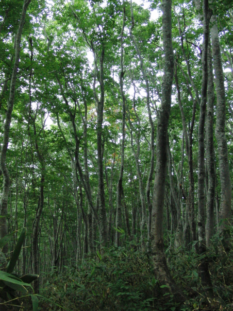 c0119891_22183956.jpg