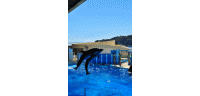 f0224192_2343154.gif