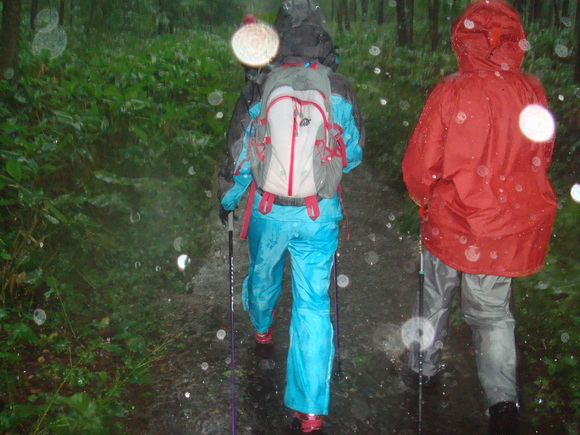 雨中のノルディックウォーキング!_d0198793_19171487.jpg