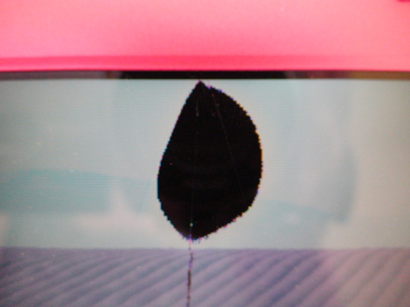 d0087503_75052.jpg