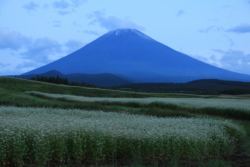 2012年富士山の初冠雪！_a0188405_1921106.jpg