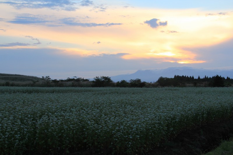 a0188405_1922827.jpg