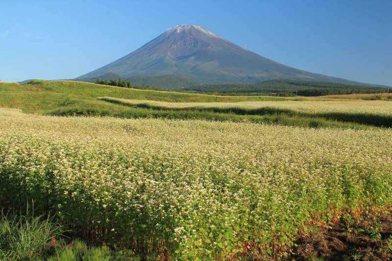 2012年富士山の初冠雪！_a0188405_19244771.jpg