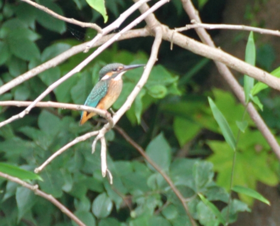 c0211309_215917.jpg