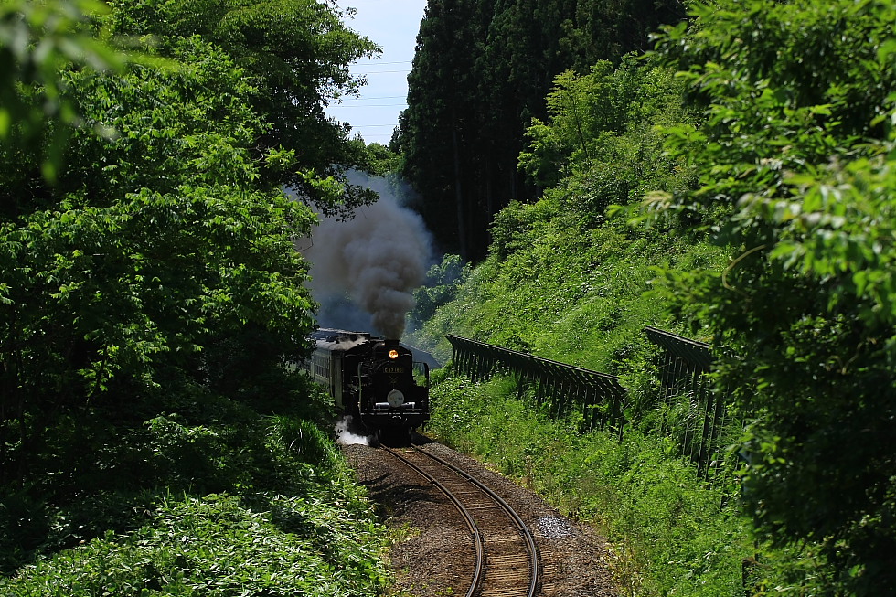 真夏のばん物をアップで - 2012年初夏・磐西 - _b0190710_2020395.jpg