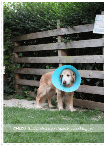 c0017311_22475288.gif