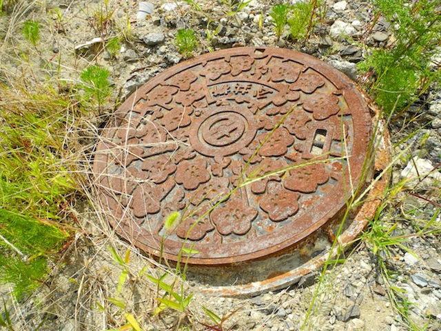 c0248013_10343335.jpg