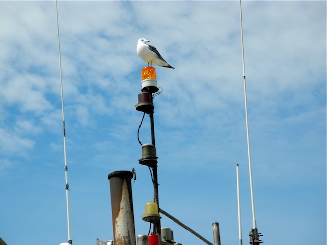 c0248013_10444347.jpg