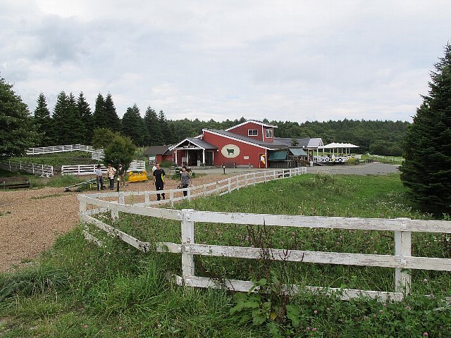 e0146513_1659677.jpg