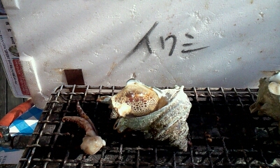 c0220715_82660.jpg