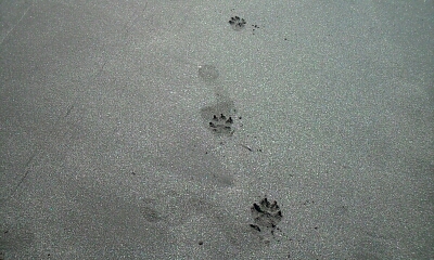 c0220715_86153.jpg