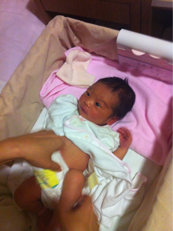 我が家に新しい家族が増えました 陶工房スタジオ ル ポット