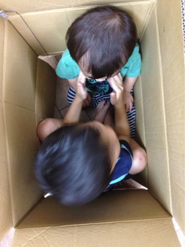 狭いところって落ち着くよね 奥様への細道