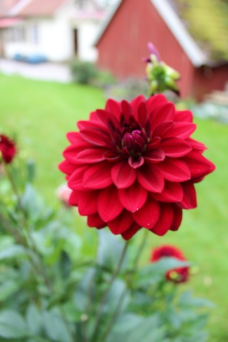 e0187320_20203915.jpg