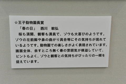神戸市立王子動物園 第24回アマチュア動物写真コンクール 園長賞(特別賞)_a0288226_2252492.jpg