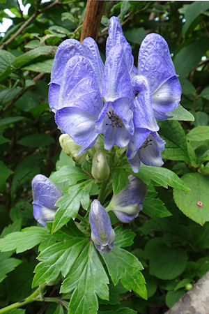 f0007926_13361272.jpg