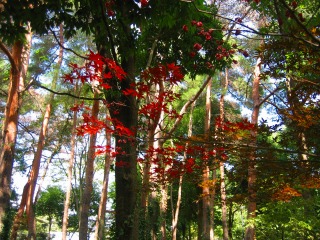 10年100いす_b0100229_12311137.jpg