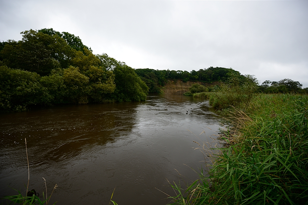 c0221838_23354968.jpg