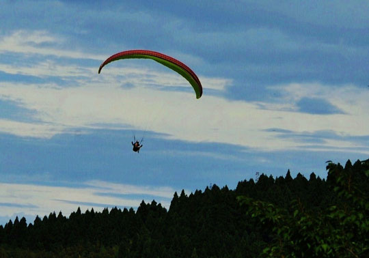 c0093046_8351376.jpg