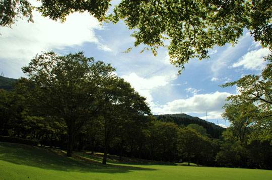 c0093046_8354926.jpg