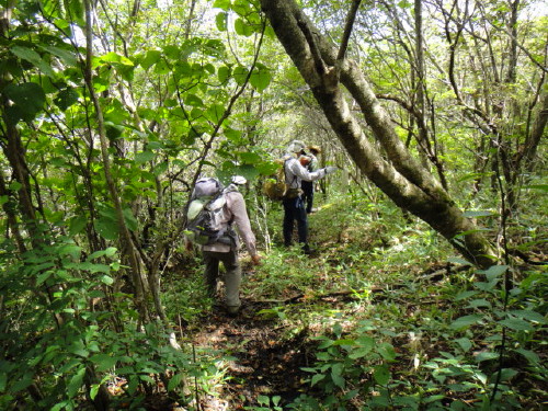 ２０１２年９月１０日　一目山　みそこぶし山　涌蓋山_c0179351_11114191.jpg