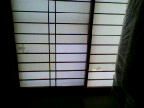 b0003855_13353780.jpg