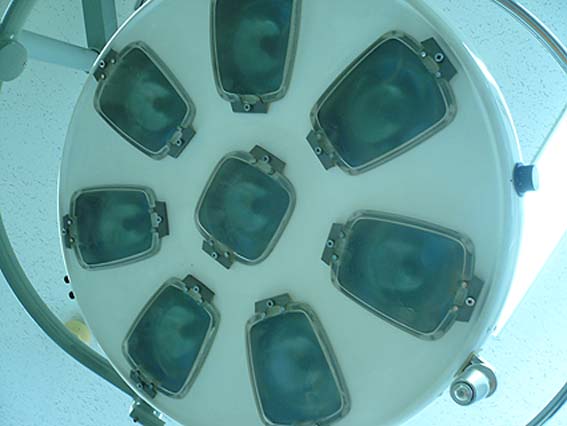 d0147156_16293967.jpg