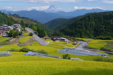 最新富士山の撮影記録_d0229560_831123.jpg