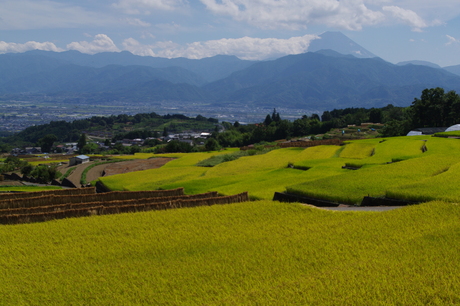 d0229560_88238.jpg