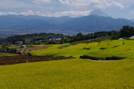 最新富士山の撮影記録_d0229560_88238.jpg