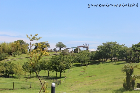 伊豆ぐらんぱる公園（前ブログからの移転写真）_e0294761_21562747.jpg