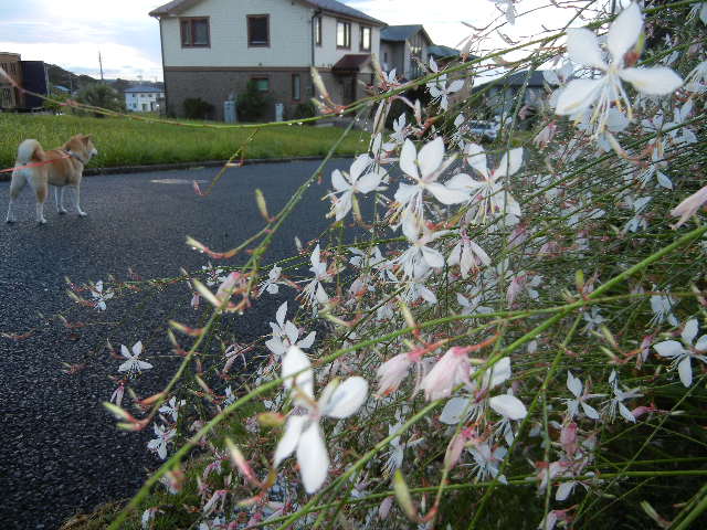 ’12、9,12(水)今日は自由行動の日!_f0060461_10285971.jpg