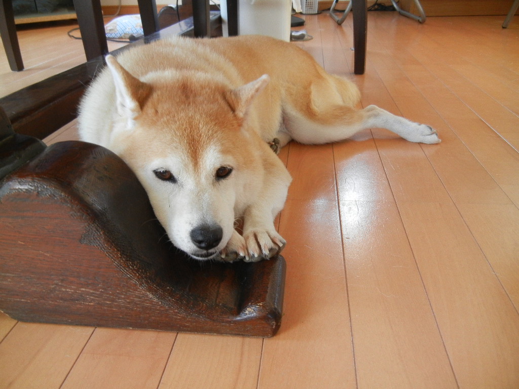 ’12、9,12(水)今日は自由行動の日!_f0060461_1041378.jpg