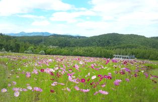 夏の北海道１_d0239862_7481353.jpg