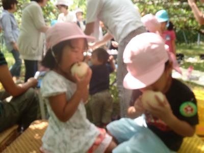 b0197668_16564051.jpg
