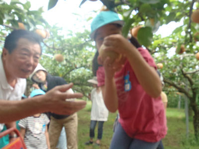 家庭教育学級　九重幼稚園梨狩り_b0197668_1735130.jpg