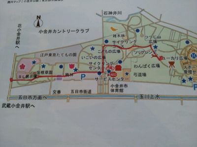 花小金井駅からのルート q場所までの行き方