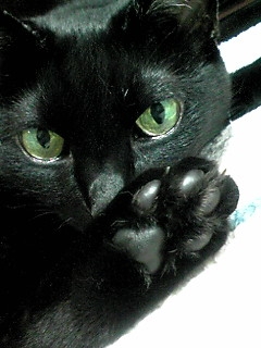 猫の肉球のアクリルたわし : *つくりつづける日々のくらし*