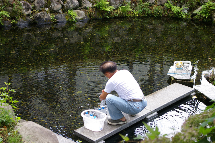 町中の湧水池_f0130879_23504885.jpg