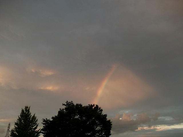 c0212083_23165161.jpg