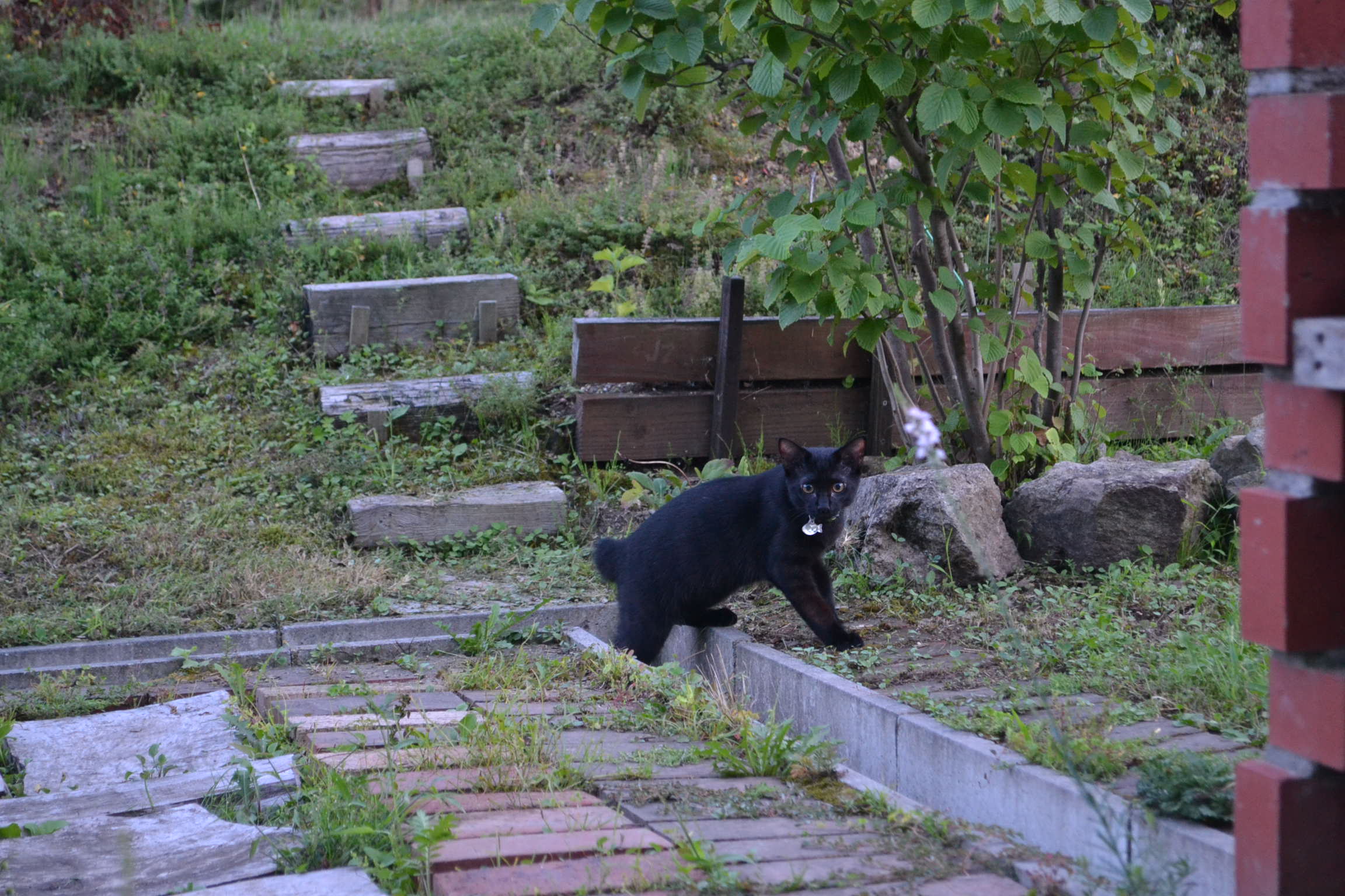 a0280185_13172954.jpg