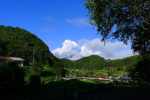 a0130586_1113323.jpg