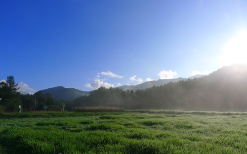 a0130586_11173863.jpg